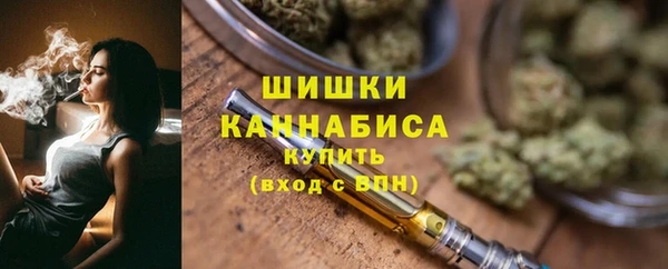 шишки Михайловск