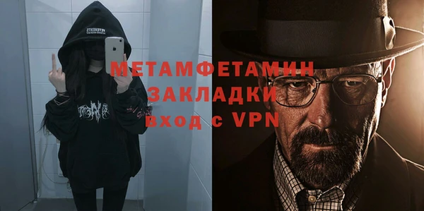 шишки Михайловск